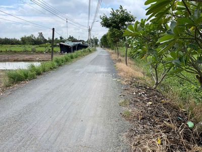 2.434mv đất vườn. đã chuyển  lên được 300m đất thổ cư. mua lẻ củng bán. Mua bán đất tại Huyện Cần Giuộc Long An được đăng bởi  văn Đăng  