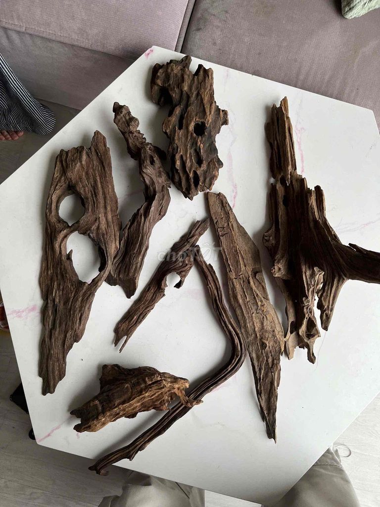 Gỗ lũa trang trí decor. Mua bán Cây cảnh, đồ trang trí tại Quận Ba Đình Hà Nội được đăng bởi Windy Vu hình 1