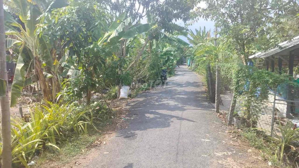 Thanh lý 8808,4m2 (770,3m2 đất ở) giá rẻ tại TT Mỹ Thọ (Ms Dương). Mua bán đất tại Huyện Cao Lãnh Đồng Tháp được đăng bởi Dương Chuyên tài sản Thanh lý Ngân hàng hình 3