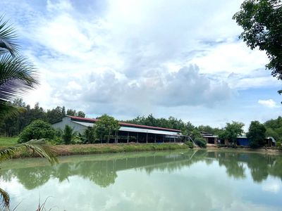 bán lỗ trang trại và đất vườn hơn 2ha, QH khu dân cư, TX Trảng Bàng.. Mua bán đất tại Huyện Trảng Bàng Tây Ninh được đăng bởi Huỳnh Tuấn