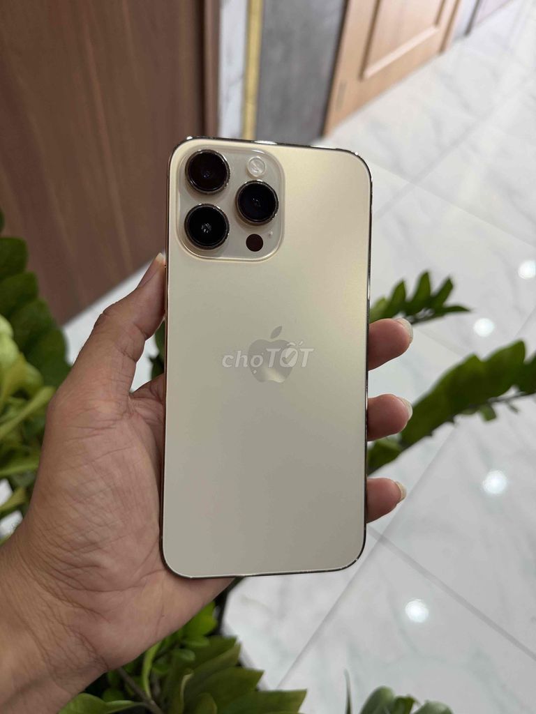 Apple iPhone 14 Pro Max Vàng Đã sử dụng. Mua bán Điện thoại tại Huyện Đức Hòa Long An được đăng bởi Lê Phú hình 1