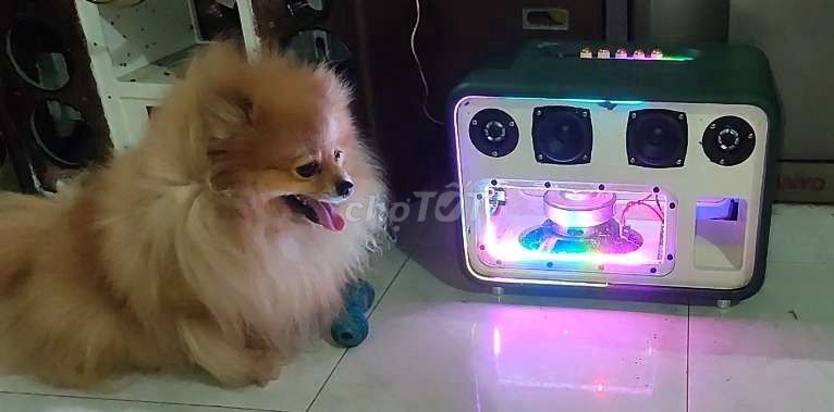 Thanh lý Loa Bluetooth BB3 180w có dsp, tws. Mua bán Tivi, Âm thanh tại Thành phố Biên Hòa Đồng Nai được đăng bởi Tùng Sơn hình 1