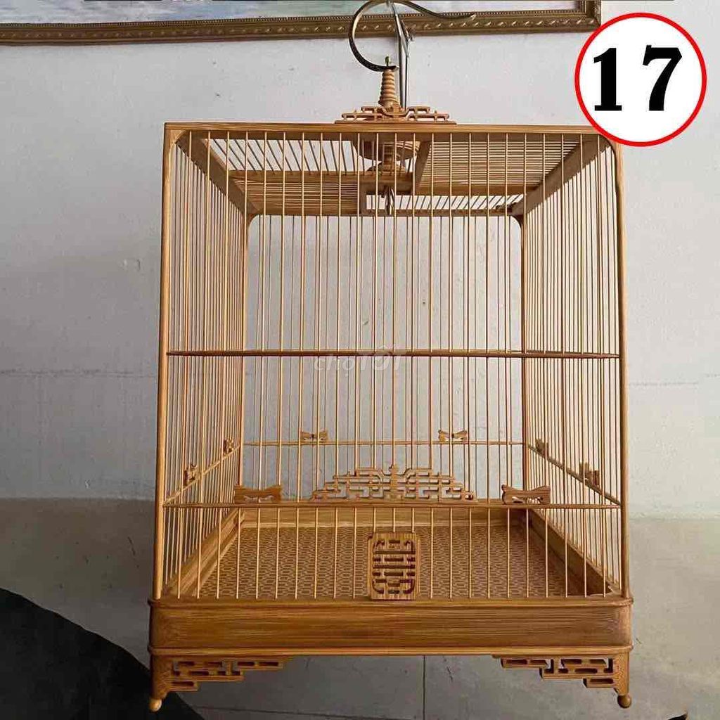 lồng chim tự lắp hay lắp sẵn ai cần ib nhé