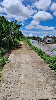 Đất nông nghiệp có sổ đỏ 6405m dọc bờ sông Lương Thế Trân