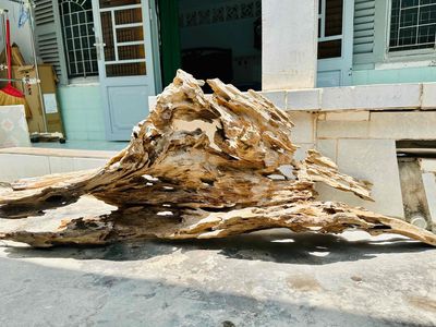 Lũa gỗ decor tiểu cảnh - ghép thuỷ sinh