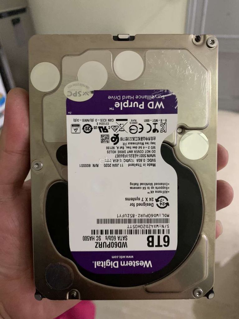 HDD WD 6TB