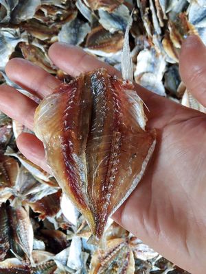 khô cá chỉ vàng rời con bự. Mua bán Đồ ăn, thực phẩm và các loại khác tại Huyện Củ Chi Tp Hồ Chí Minh được đăng bởi SHOP CO TIEN