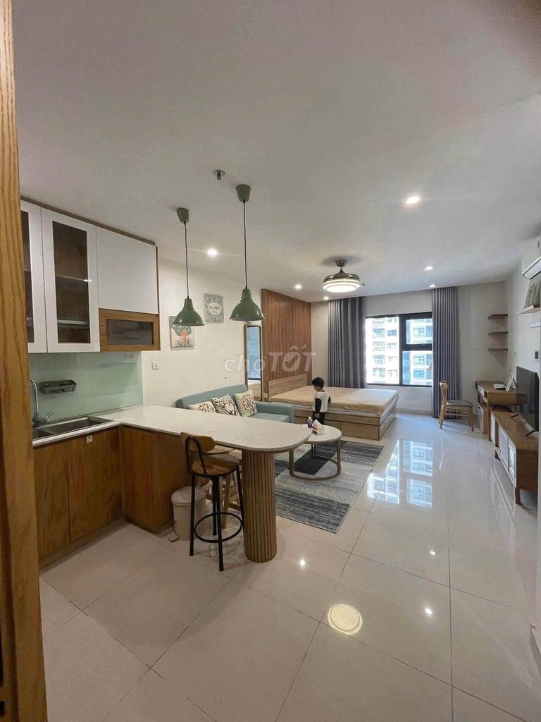 Студия в аренду площадью 6 000 кв. м. в океаническом парке VinHomes