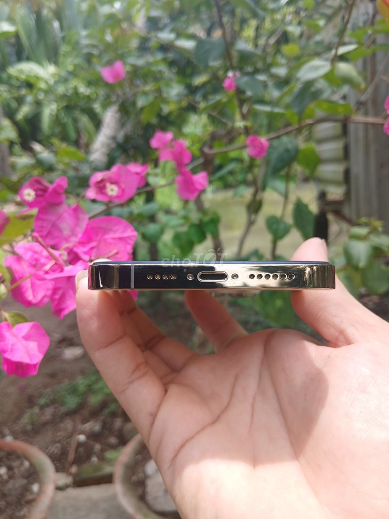 iPhone 14 Pro Max 256GB Vàng Gold đẹp keng. Mua bán Điện thoại tại Huyện Mỏ Cày Bắc Bến Tre được đăng bởi Nguyễn Nguyễn hình 1
