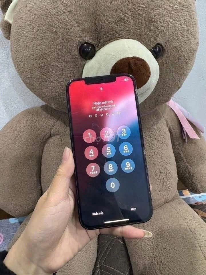 Apple iPhone 12 Pro Max Xanh. Mua bán Điện thoại tại Quận Cầu Giấy Hà Nội được đăng bởi Hội Đồ Điện Tử hình 1