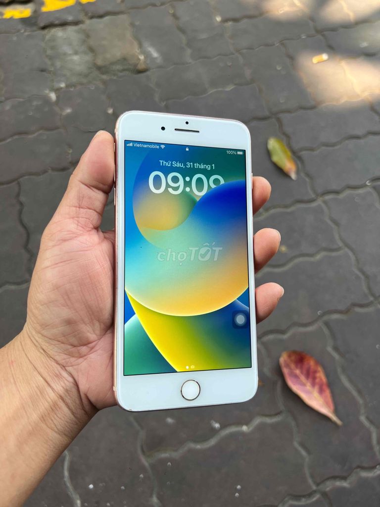 bán iphone 8plus quốc tế 64gb màu vàng hồng