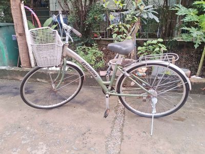 Xe đạp thể thao Asama Xám, xanh lá - 134913041
