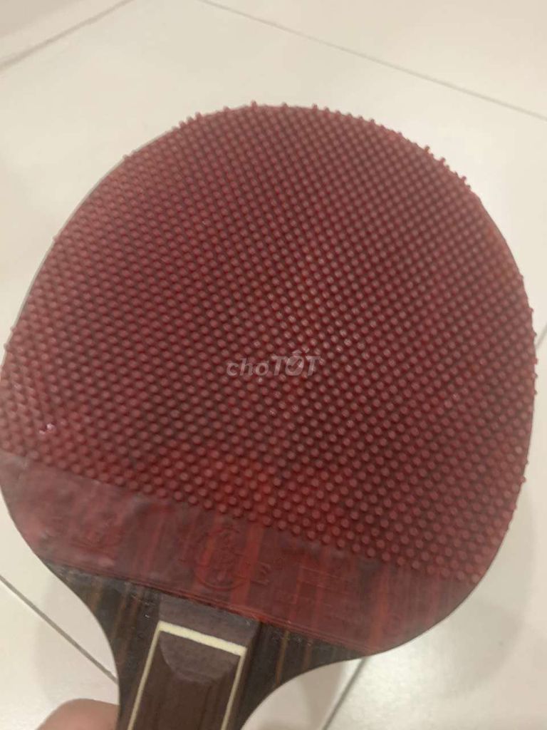 Vợt bóng bàn Nittaku Carbon Đỏ Đen. Mua bán Đồ thể thao, Dã ngoại tại Quận 5 Tp Hồ Chí Minh được đăng bởi Thịnh 78 hình 1