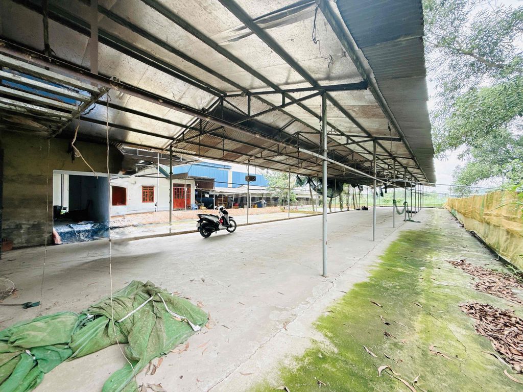 Cho Thuê Nhà Vườn 1500m2 - (Có Điện 3Fa -Xưởng)- Trảng Dài - Giá:15tr