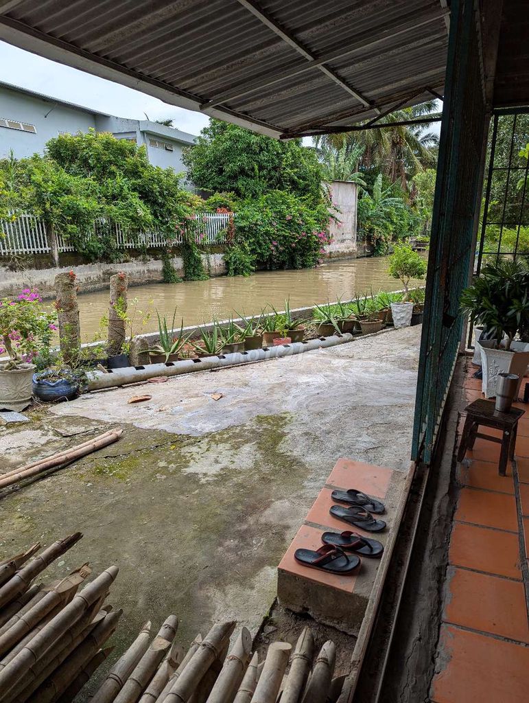 Cho thuê bãi & bờ sông trưng bài hàng hoá