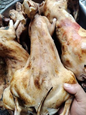 Thịt thỏ tươi – sạch, ngon, giao tận nơi. Mua bán Đồ ăn, thực phẩm và các loại khác tại Thành phố Huế Thừa Thiên Huế được đăng bởi anh