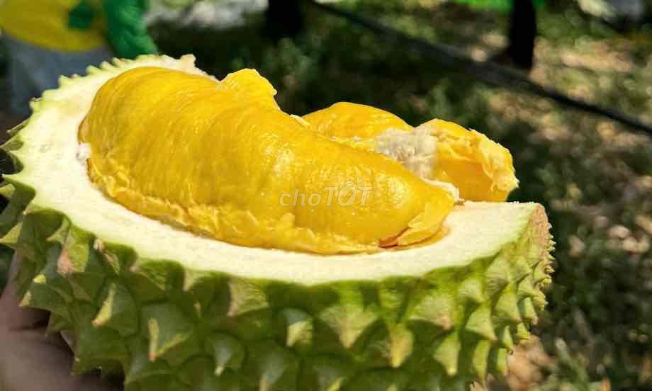 Sầu riêng Ri6 và Musang King free ship SG!. Mua bán Đồ ăn, thực phẩm và các loại khác tại Quận Bình Tân Tp Hồ Chí Minh được đăng bởi Cậu Ba Sầu Riêng hình 2