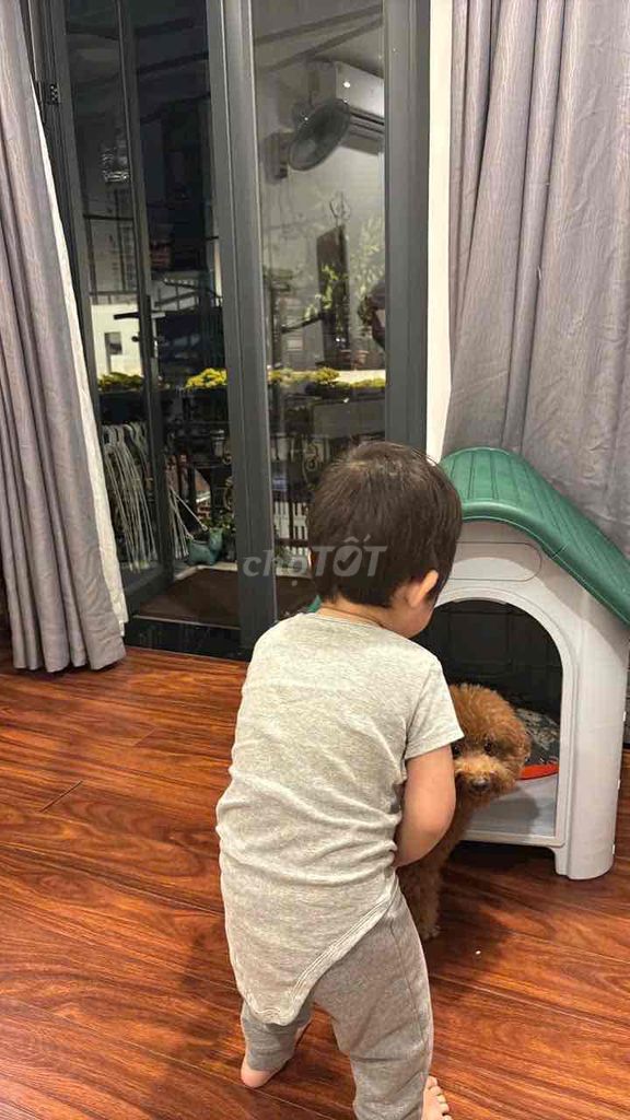 nhà ở chó mèo hàng mới đẹp. Mua bán Phụ kiện, Thức ăn, Dịch vụ tại Quận 10 Tp Hồ Chí Minh được đăng bởi PN hình 1
