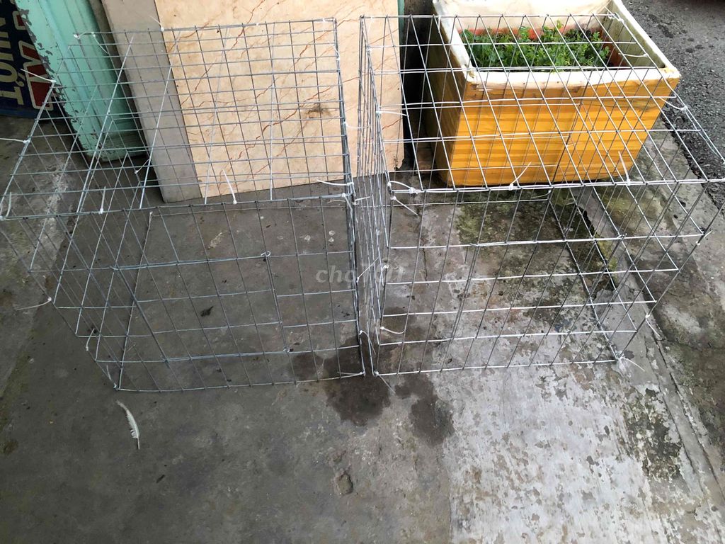 Chuồng thú cưng Kẽm 60x60 mới. Mua bán Phụ kiện, Thức ăn, Dịch vụ tại Quận Ninh Kiều Cần Thơ được đăng bởi Thành hình 1