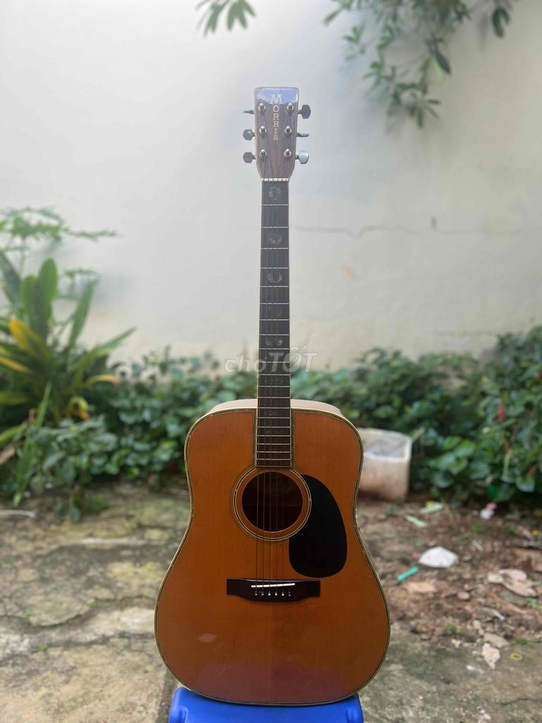 Guitar Morris W39M bản giới hạn