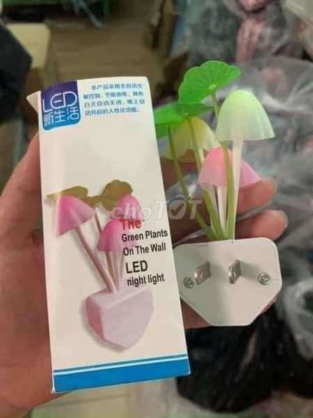 Đèn ngủ nấm. Mua bán Đèn tại Quận Hà Đông Hà Nội được đăng bởi Đinh Len hình 1