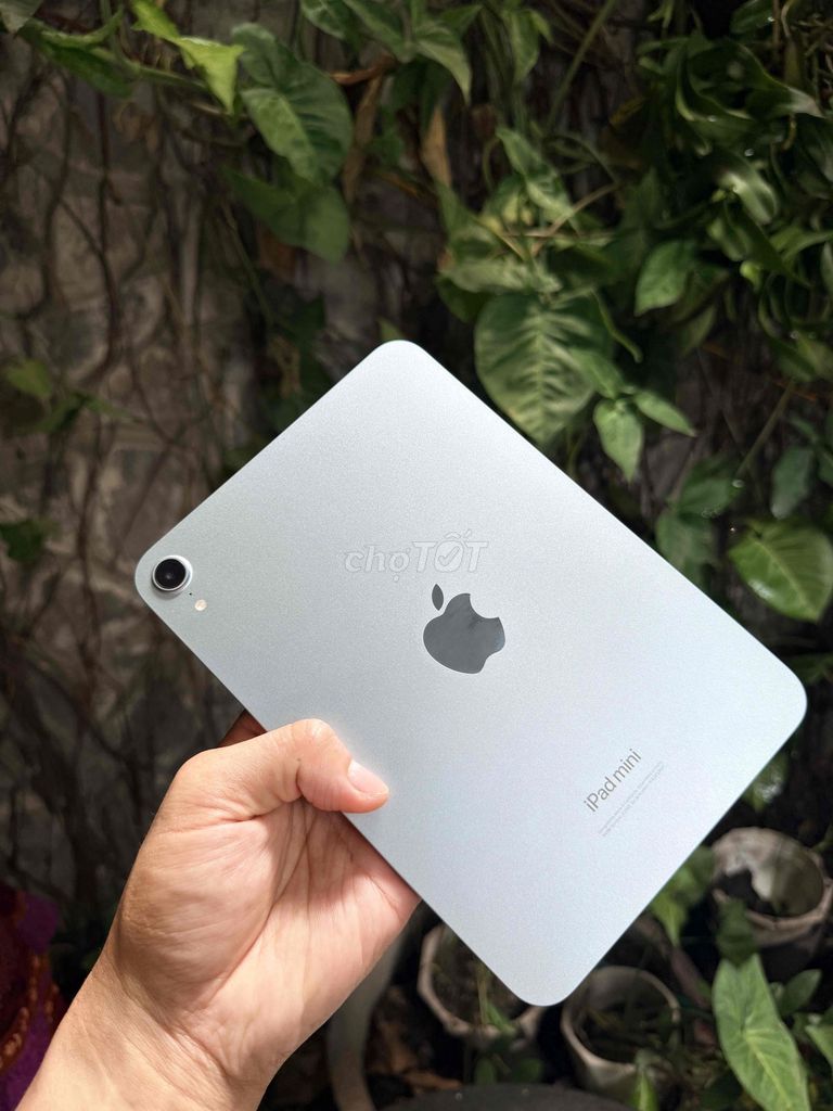 iPad Mini 7 Wifi 128GB Blue Pin 93% Còn BH. Mua bán Máy tính bảng tại Quận Sơn Trà Đà Nẵng được đăng bởi Anh Apple Chính Hãng hình 1
