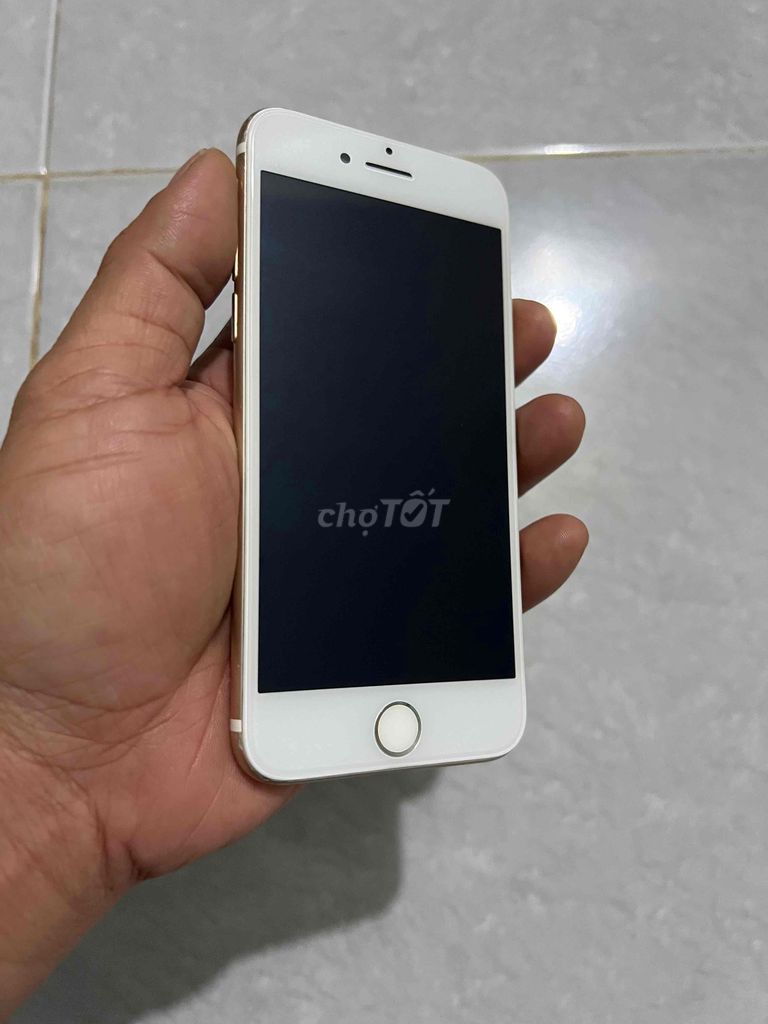 bán iphone 7plus quốc tế zin full pin 100 màu vang