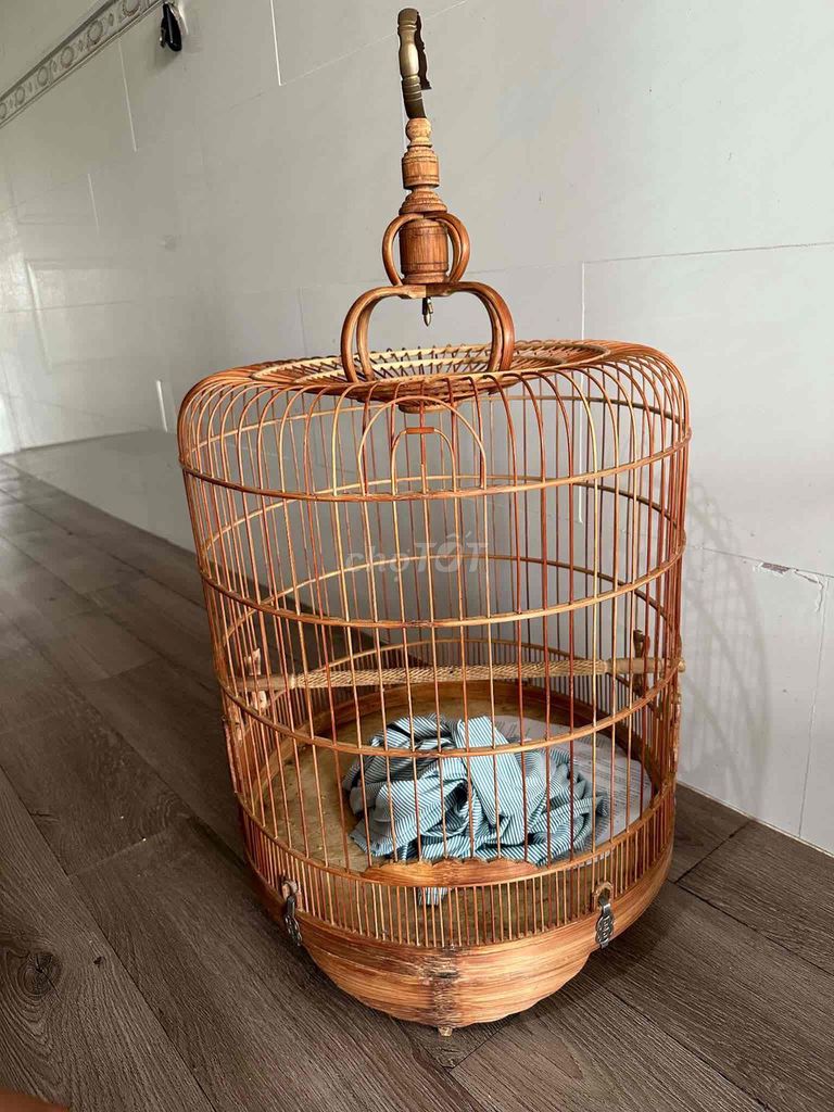 Khướuuuu. Mua bán Chim tại Quận Thanh Khê Đà Nẵng được đăng bởi Đức Thọ hình 1