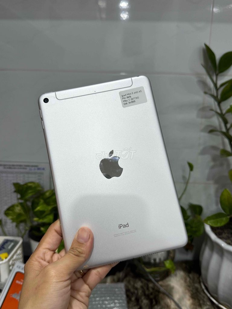 iPad Mini 5 64GB bản 4G Trắng Zin Full. Mua bán Máy tính bảng tại Huyện Hóc Môn Tp Hồ Chí Minh được đăng bởi Nguyễn Thu hình 1