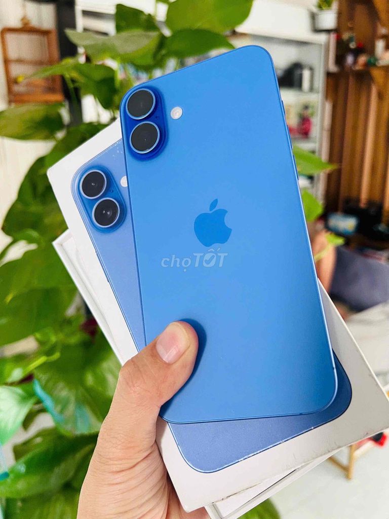 ip 16 Plus 128GB Q tế Mỹ pinzin100% cònbh 09/2026. Mua bán Điện thoại tại Thành phố Biên Hòa Đồng Nai được đăng bởi Oanh Hoang hình 1