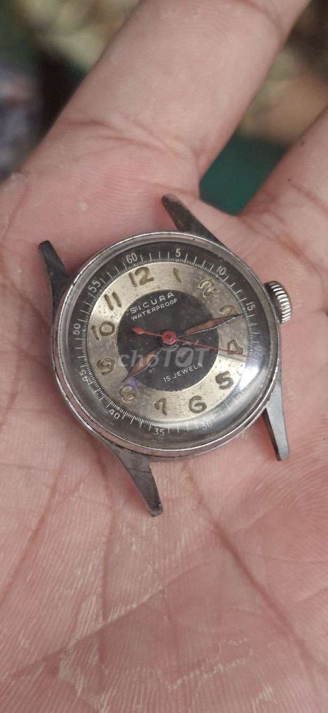 Đồng hồ đeo tay Nam Sicura 29mm. Mua bán Đồng hồ tại Thành phố Phan Thiết Bình Thuận được đăng bởi Nhí Pha hình 1