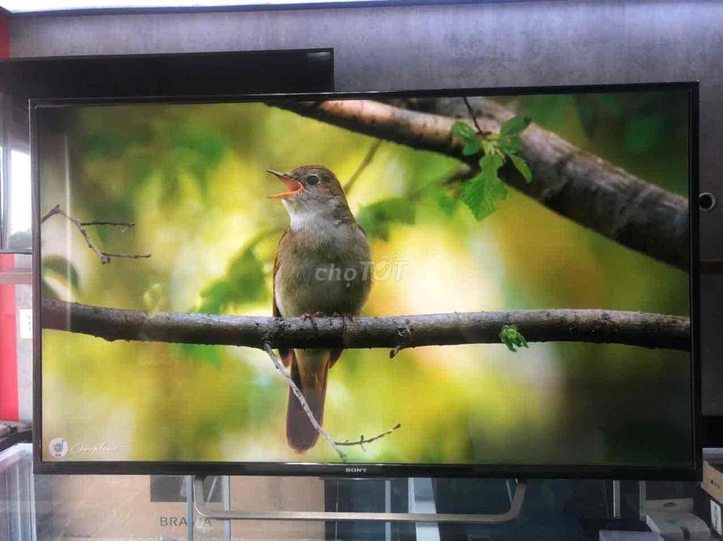 Smart TV Sony 55X7000D 4K. Mua bán Tivi, Âm thanh tại Quận Hoàng Mai Hà Nội được đăng bởi ĐIỆN MÁY TIVI AN KHANG TOÀN QUỐC hình 1