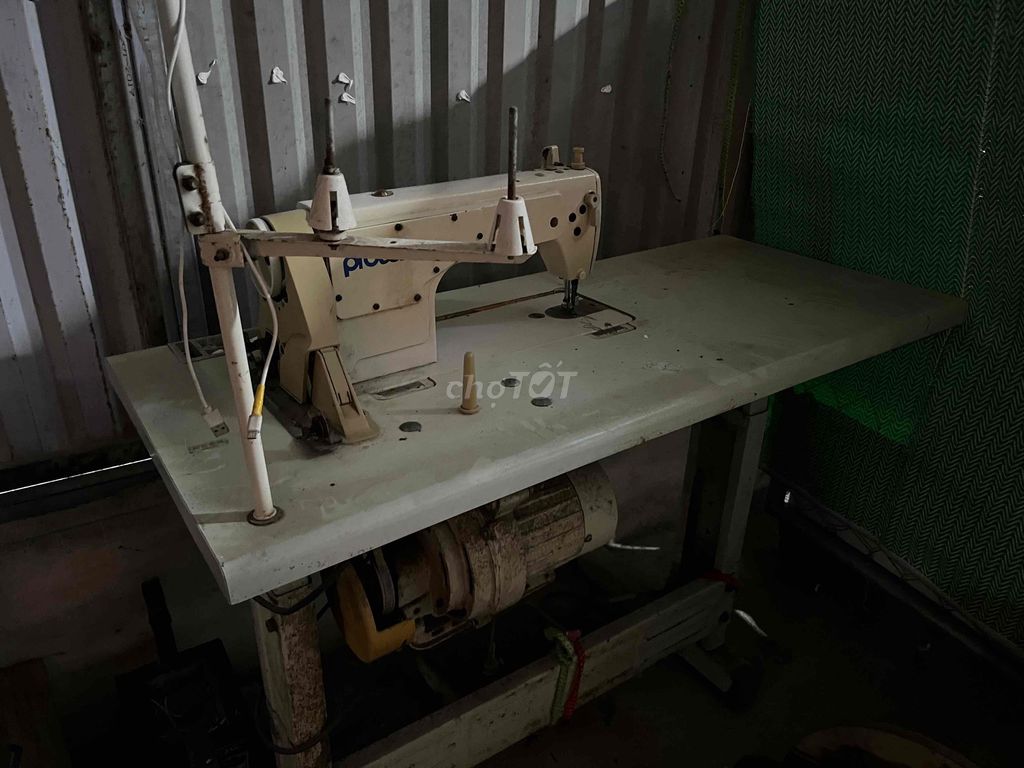 Máy may công nghiệp Protex. Mua bán Đồ chuyên dụng, Giống nuôi trồng tại Huyện Kiến Xương Thái Bình được đăng bởi si hai hình 1