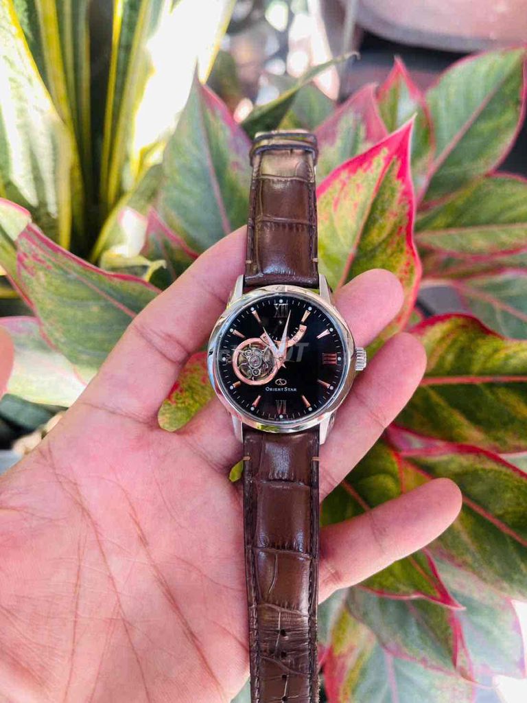 Orient Star OpenHeart 40h Nam Dây da Nâu. Mua bán Đồng hồ tại Quận Ninh Kiều Cần Thơ được đăng bởi Phong Watch hình 1