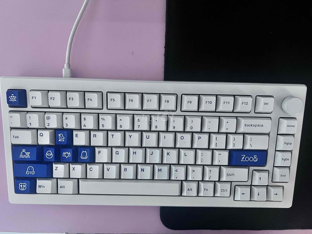 Bàn phím cơ AKKO MOD007 PC Blue on White. Mua bán Phụ kiện (Màn hình, Chuột...) tại Quận Thốt Nốt Cần Thơ được đăng bởi Tuyết Kha hình 1