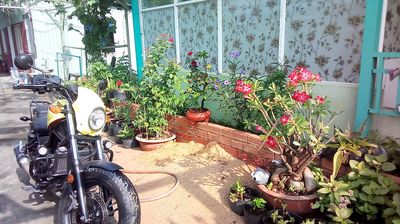 Bán Rebel 300, odo 30k, máy móc bao zin. Mua bán Xe máy tại Huyện Củ Chi Tp Hồ Chí Minh được đăng bởi Võ Tuyền Long