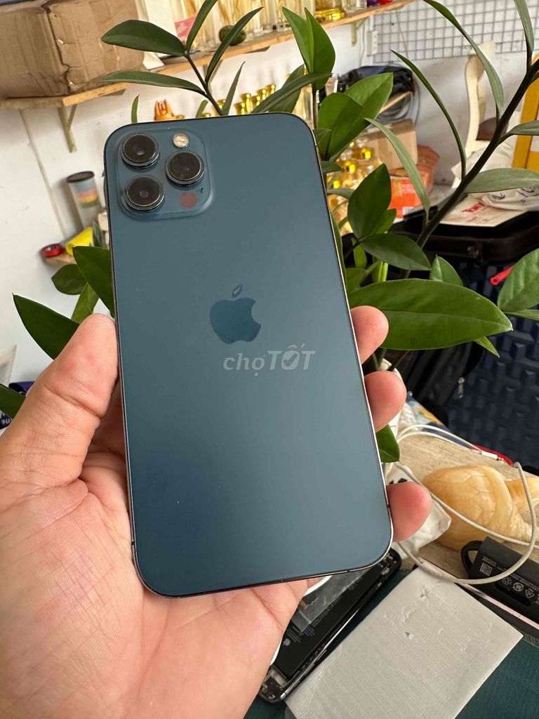 12promax 128g. Mua bán Điện thoại tại Thành phố Dĩ An Bình Dương được đăng bởi junstar store hình 1