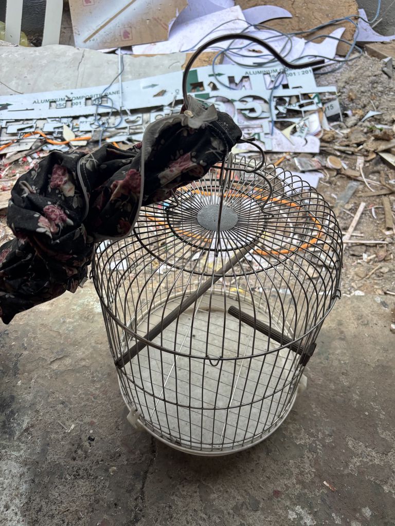 Lồng chim Inox size nhỏ Mới. Mua bán Phụ kiện, Thức ăn, Dịch vụ tại Quận Liên Chiểu Đà Nẵng được đăng bởi Tran hình 1