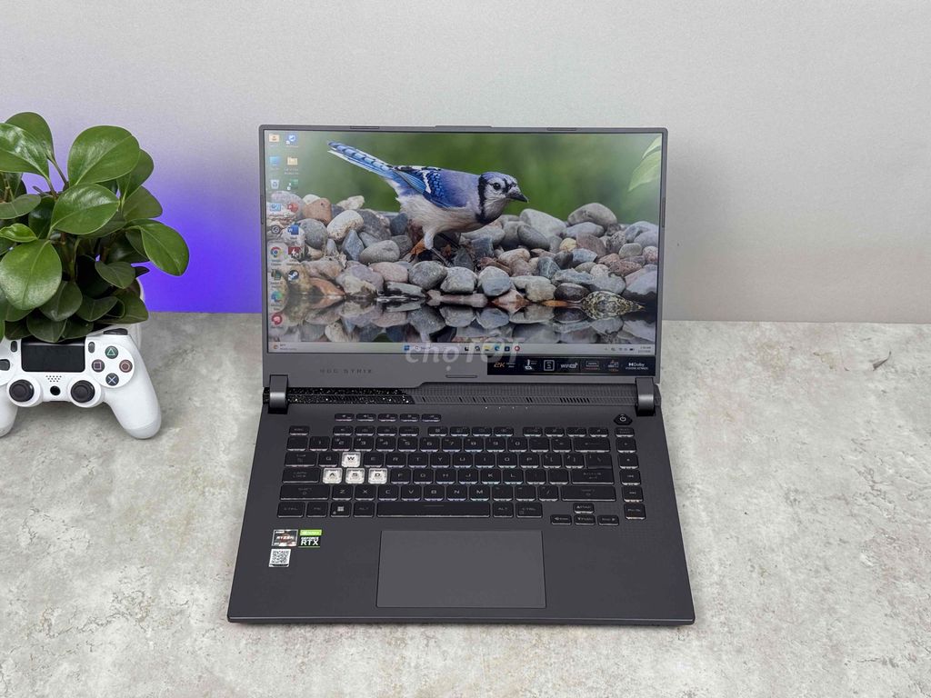 ASUS ROG R9 6900Hx RTX3060 6G 16GB/512GB 15.6” 2K. Mua bán Laptop tại Thành phố Thủ Đức Tp Hồ Chí Minh được đăng bởi Nguyễn Đức Tính hình 1