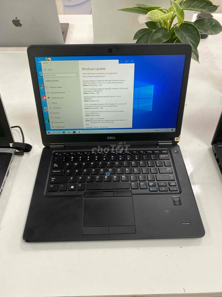 laptop dell latutide 7450 i5 ram 8 ssd 256 màn 13