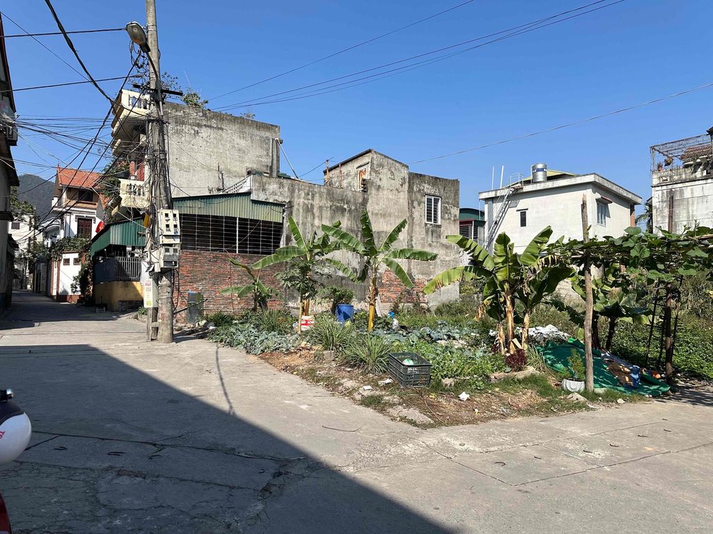 Bán 2 lô đất mặt ngõ đường Trần Phú, Cẩm Thạch, Cẩm Phả. Mua bán đất tại Thành phố Cẩm Phả Quảng Ninh được đăng bởi Thanh hình 1