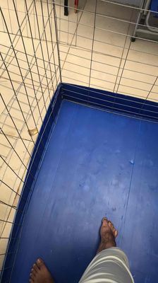 Chuồng nuôi gà chim 1m2. Mua bán Phụ kiện, Thức ăn, Dịch vụ tại Quận 7 Tp Hồ Chí Minh được đăng bởi Gà tre con