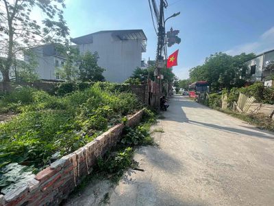🔥PHÂN LÔ 170M MT7.3 ĐỒNG NHÂN HẢI BỐI ĐÔNG ANH ĐƯỜNG THÔNG OTO TRÁNH. Mua bán đất tại Huyện Đông Anh Hà Nội được đăng bởi Nguyễn Văn Phi