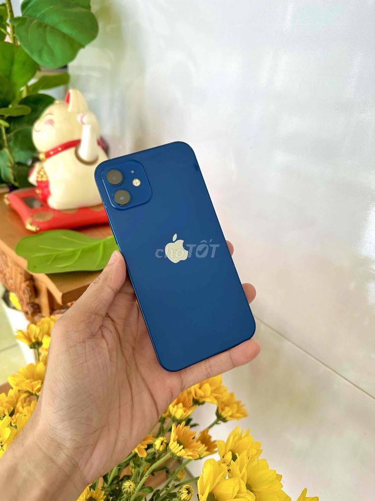 Apple iPhone 12 64GB Xanh Zin. Mua bán Điện thoại tại Thành phố Long Xuyên An Giang được đăng bởi phong LX  hình 1