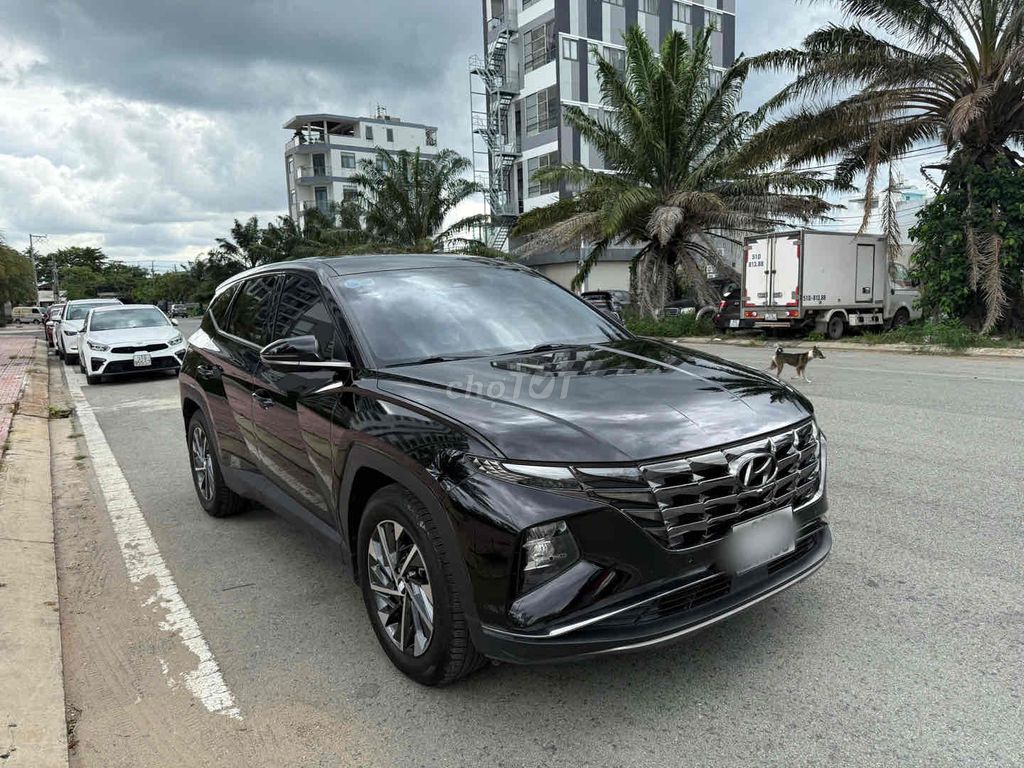 Ảnh số 2