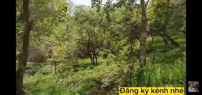 Đất sát khu du lịch dray sáp. Mua bán đất tại Huyện Krông Nô Đắk Nông được đăng bởi Đạt Hà Duy
