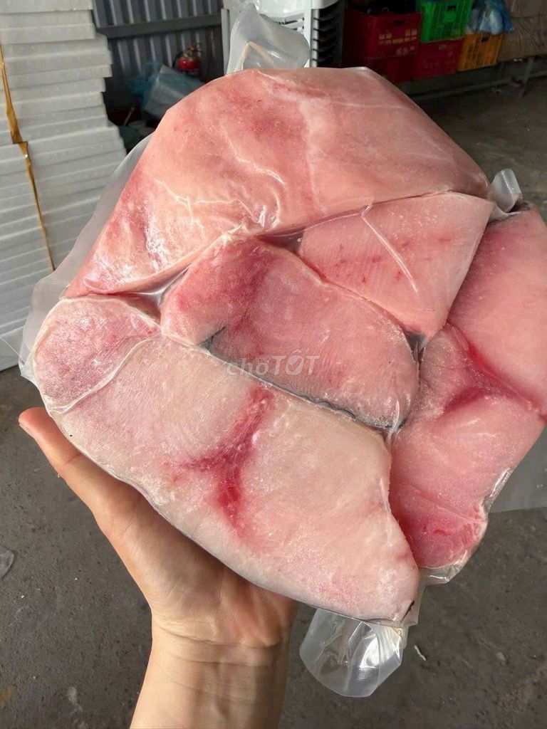 cá cờ kiếm phile. Mua bán Đồ ăn, thực phẩm và các loại khác tại Quận Phú Nhuận Tp Hồ Chí Minh được đăng bởi Hà Nhi Cao hình 1