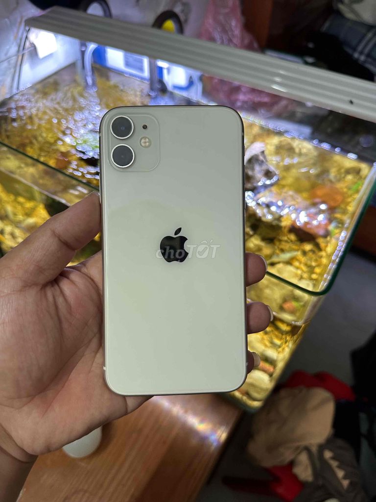Apple iPhone 11 64GB Bạc. Mua bán Điện thoại tại Huyện Thường Tín Hà Nội được đăng bởi Đỗ Văn Phong hình 1