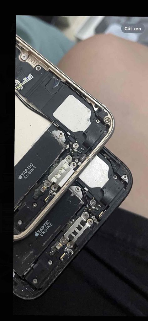 Cụm mic sạc rung loa ngoài iphone 7g 7 plus zin. Mua bán Linh kiện (RAM, Card...) tại Quận Tân Phú Tp Hồ Chí Minh được đăng bởi Trương Hiệp hình 1