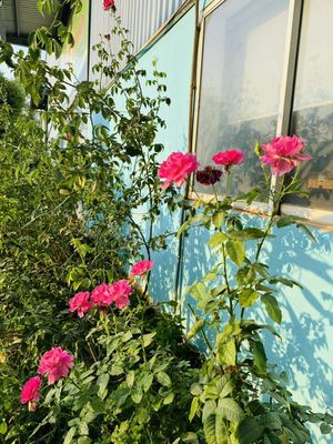 cty vận tải miền nam